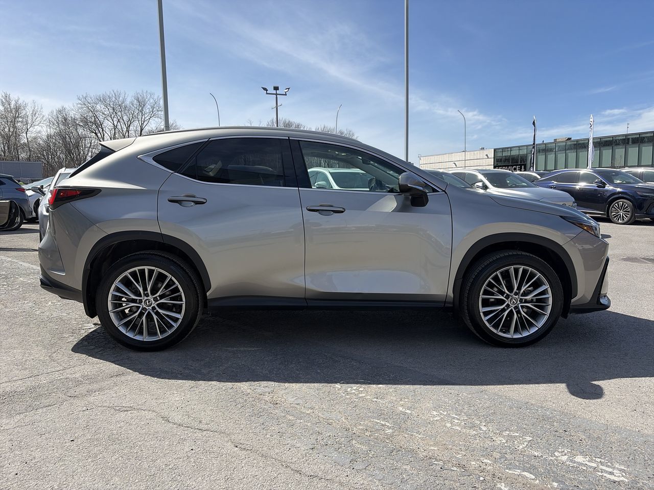 Lexus NX  2023