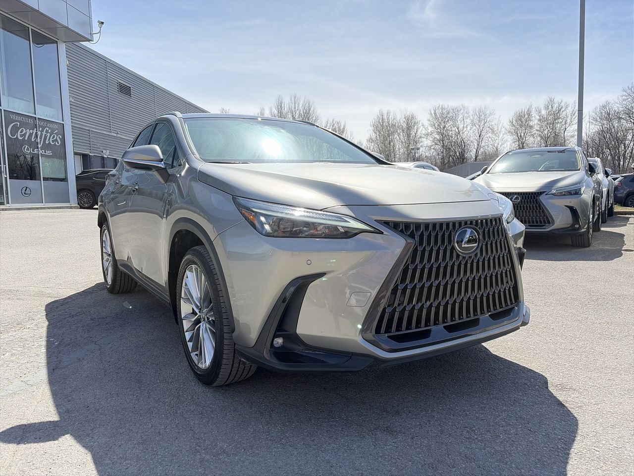 Lexus NX  2023