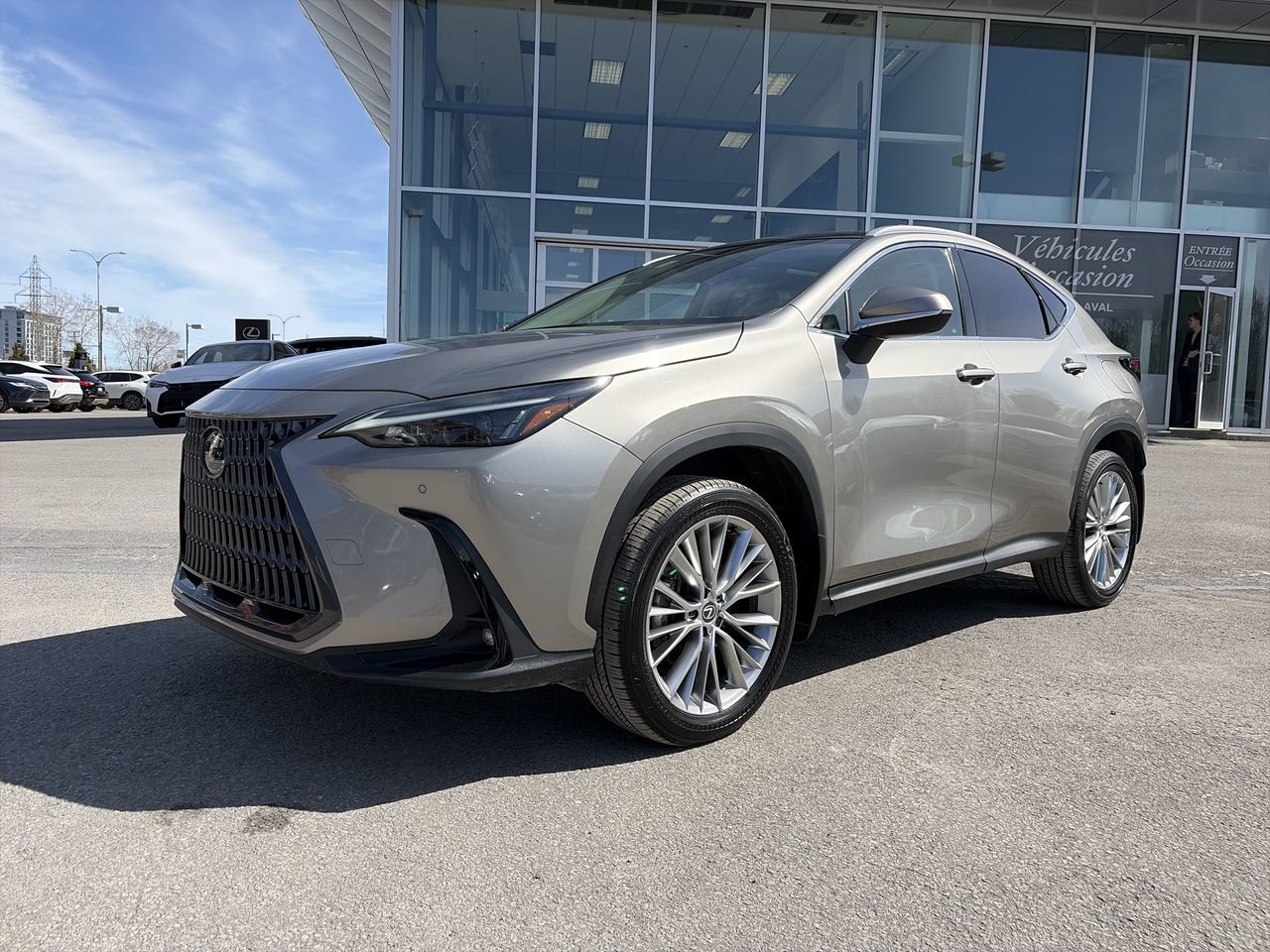 Lexus NX  2023