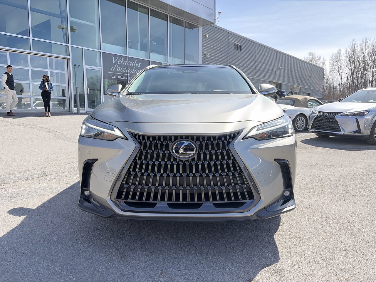 Lexus NX  2023