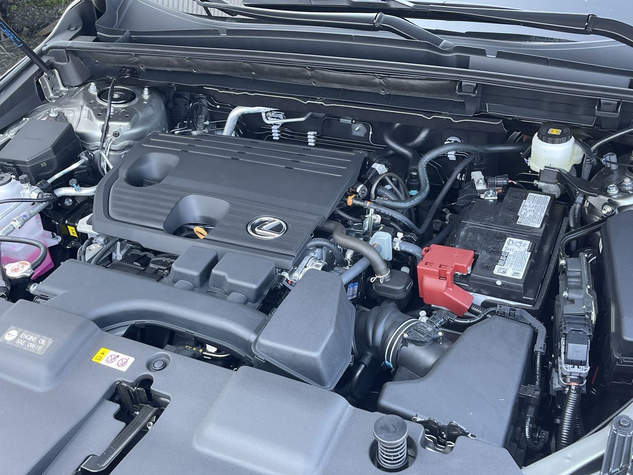 2025 Lexus NX in Laval, Quebec