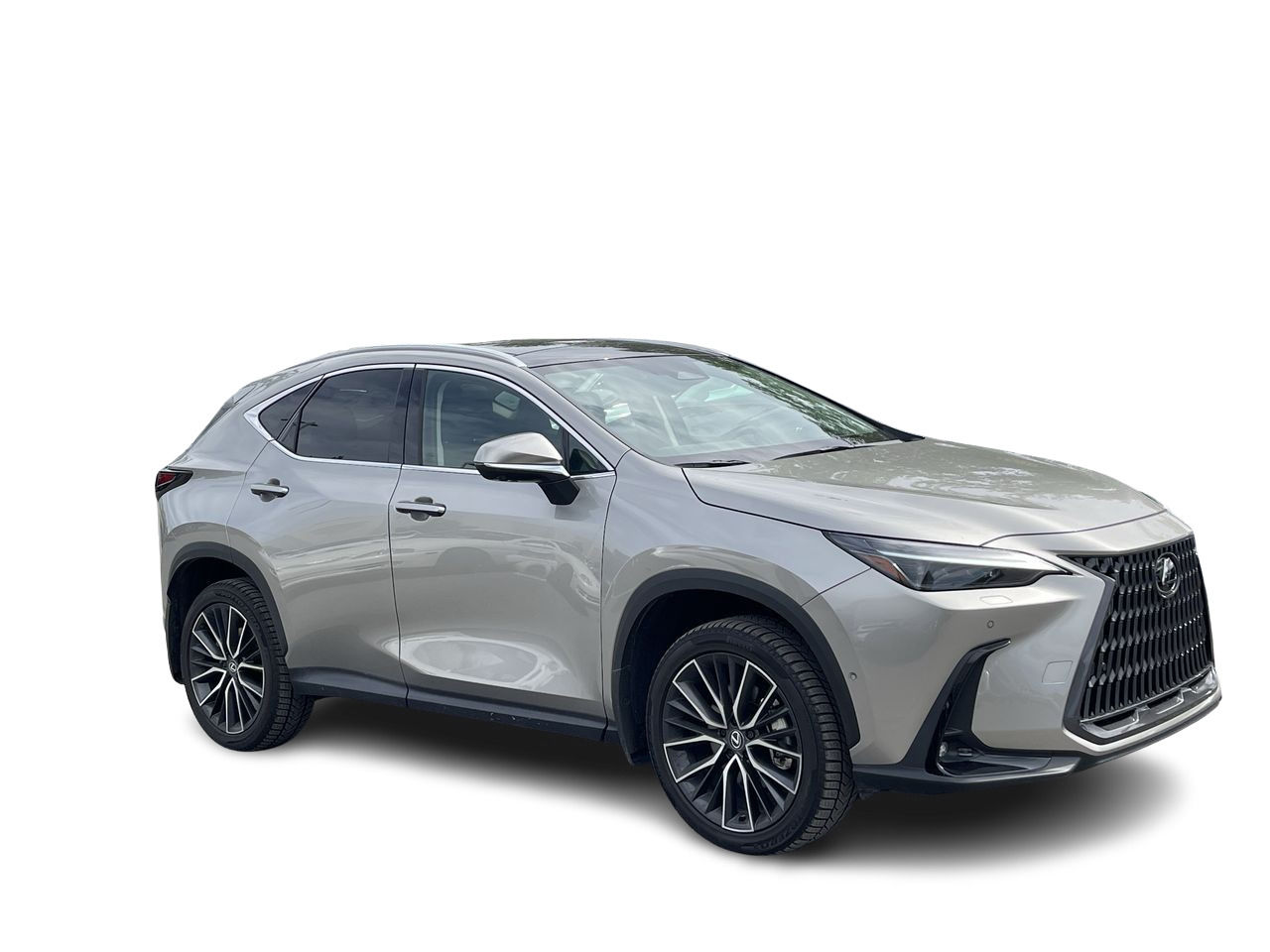 2025 Lexus NX in Laval, Quebec