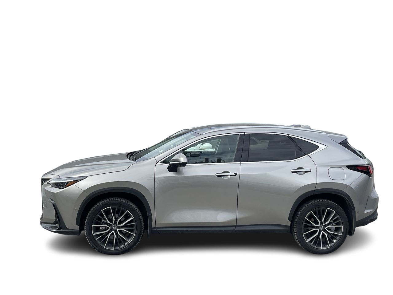 2025 Lexus NX in Laval, Quebec