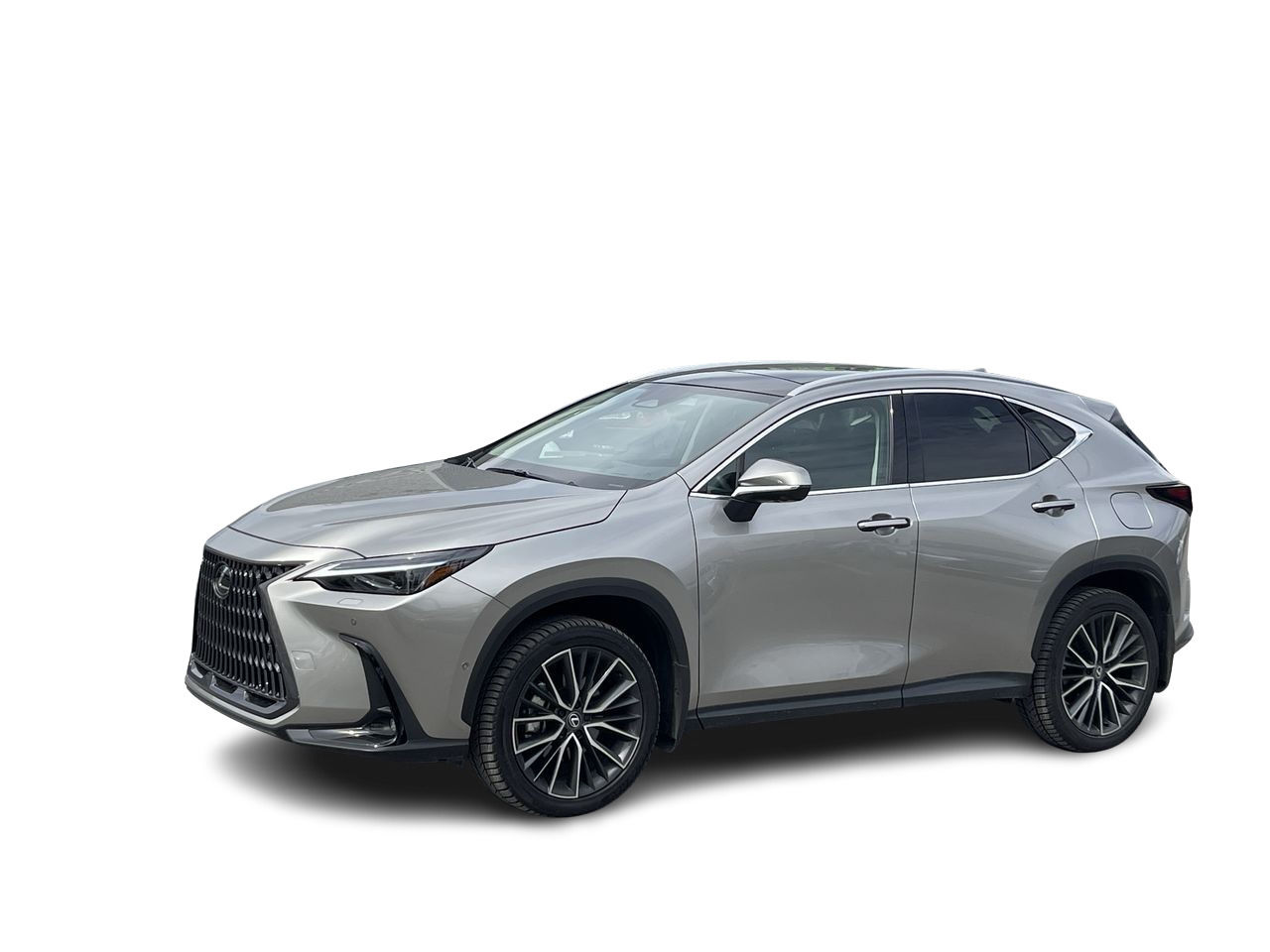 2025 Lexus NX in Laval, Quebec