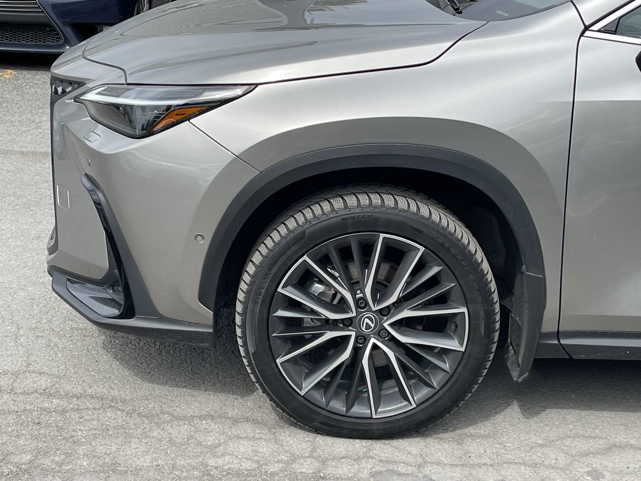 2025 Lexus NX in Laval, Quebec