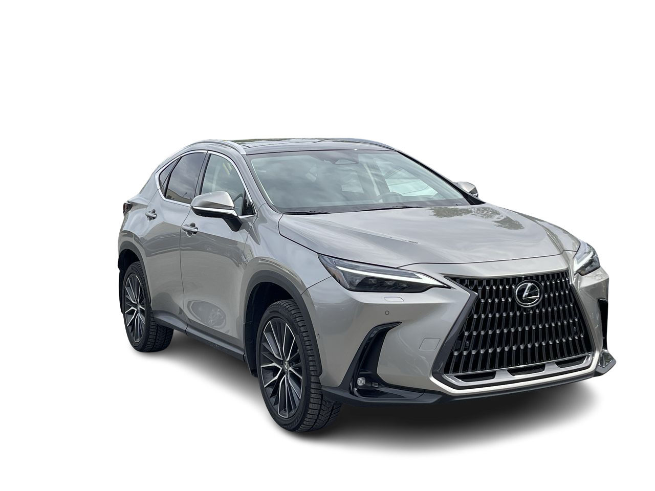 2025 Lexus NX in Laval, Quebec