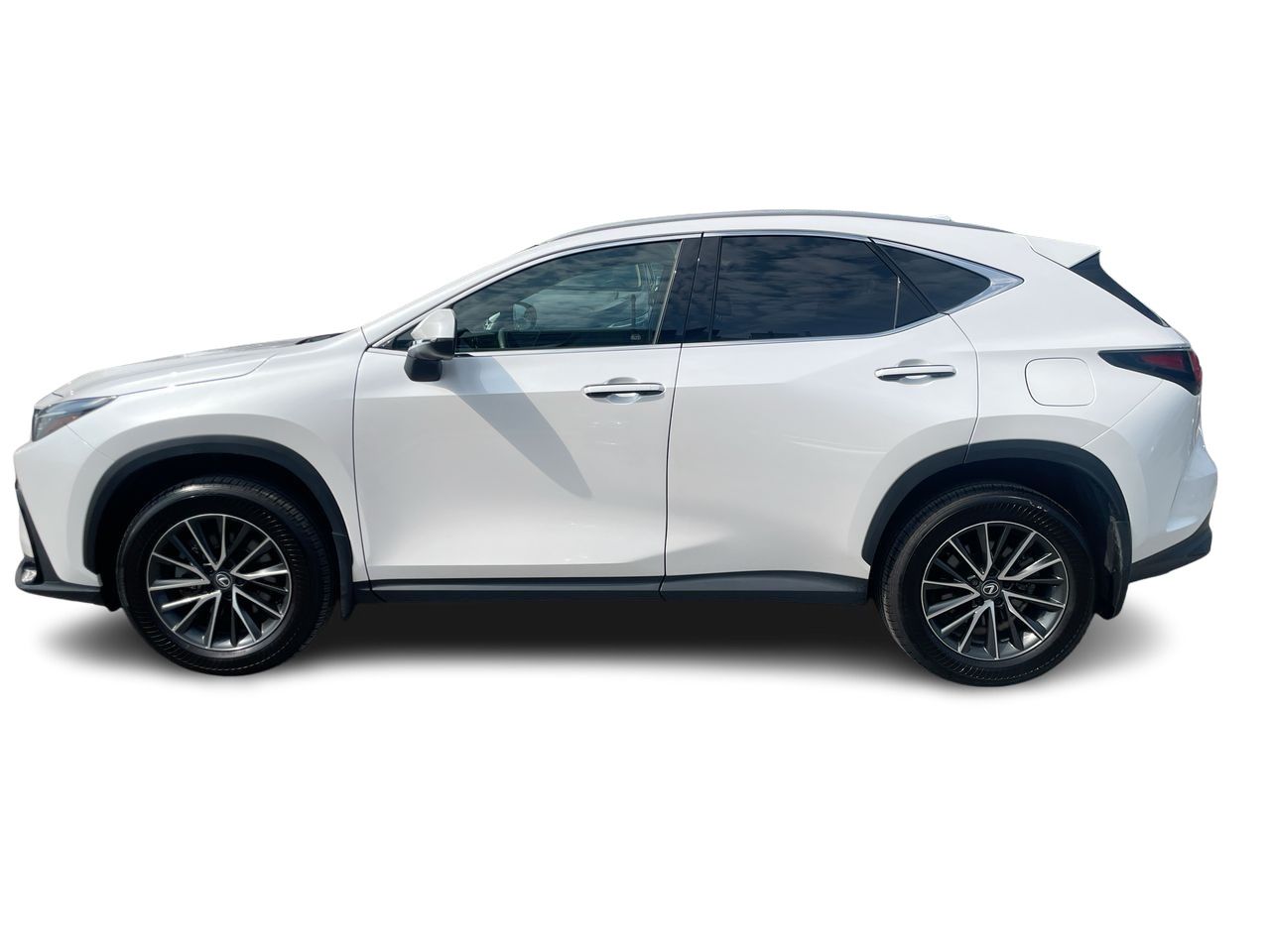 2025 Lexus NX in Laval, Quebec