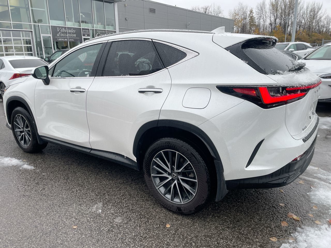 2025 Lexus NX