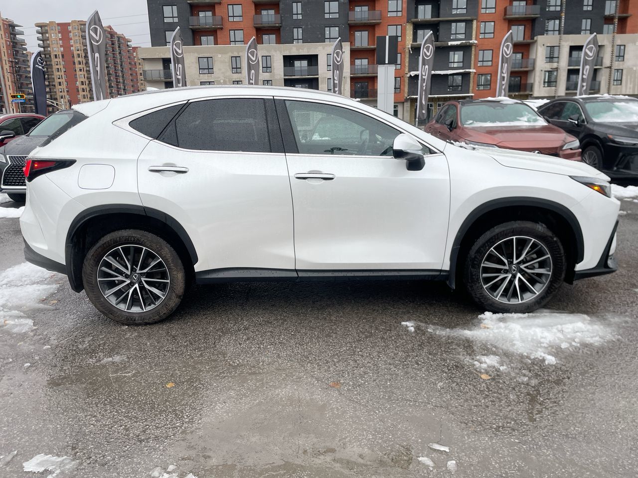 2025 Lexus NX
