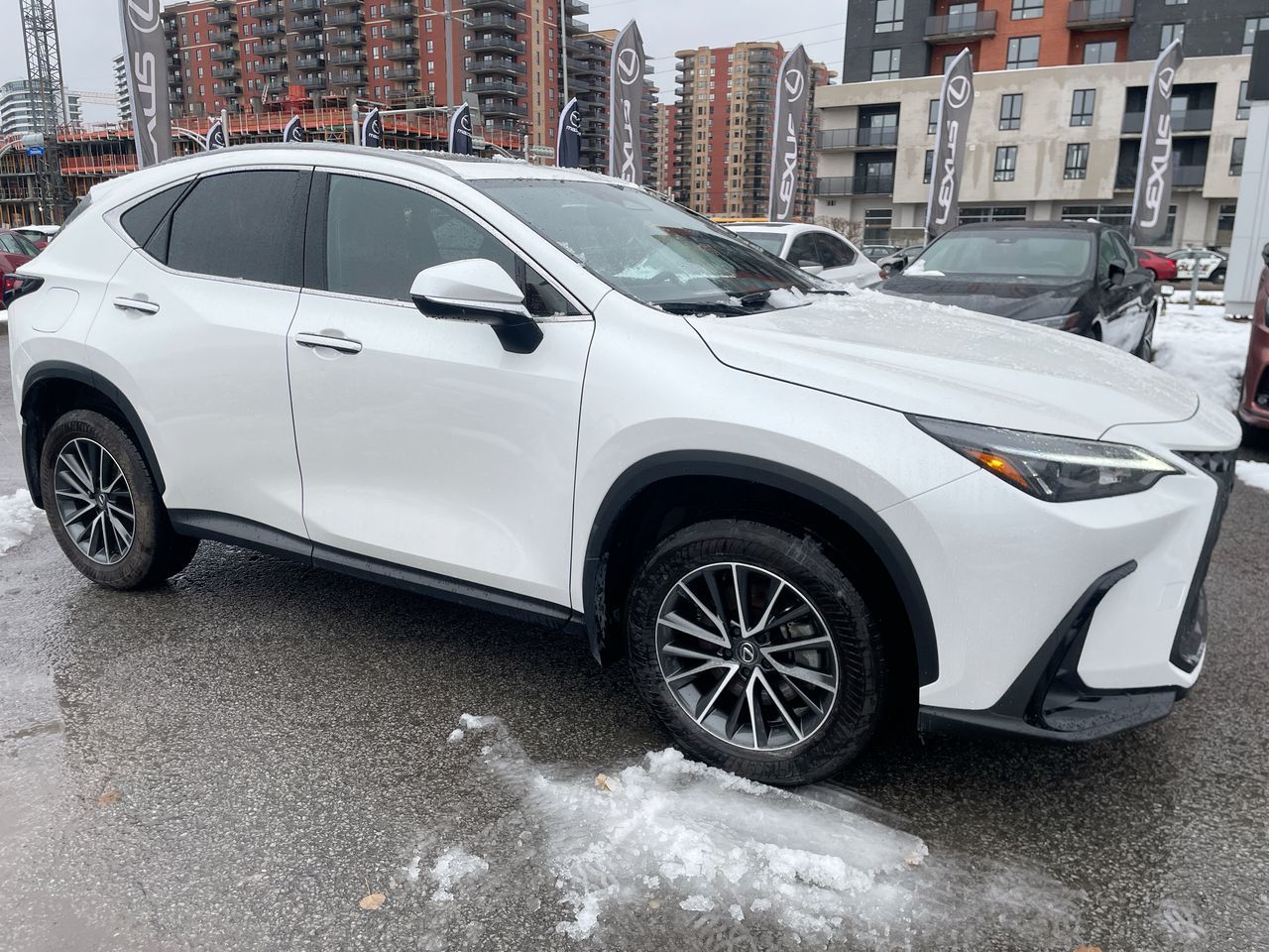 2025 Lexus NX