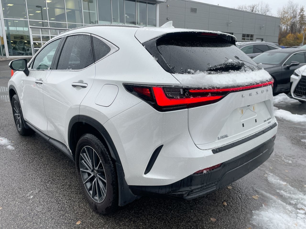 2025 Lexus NX