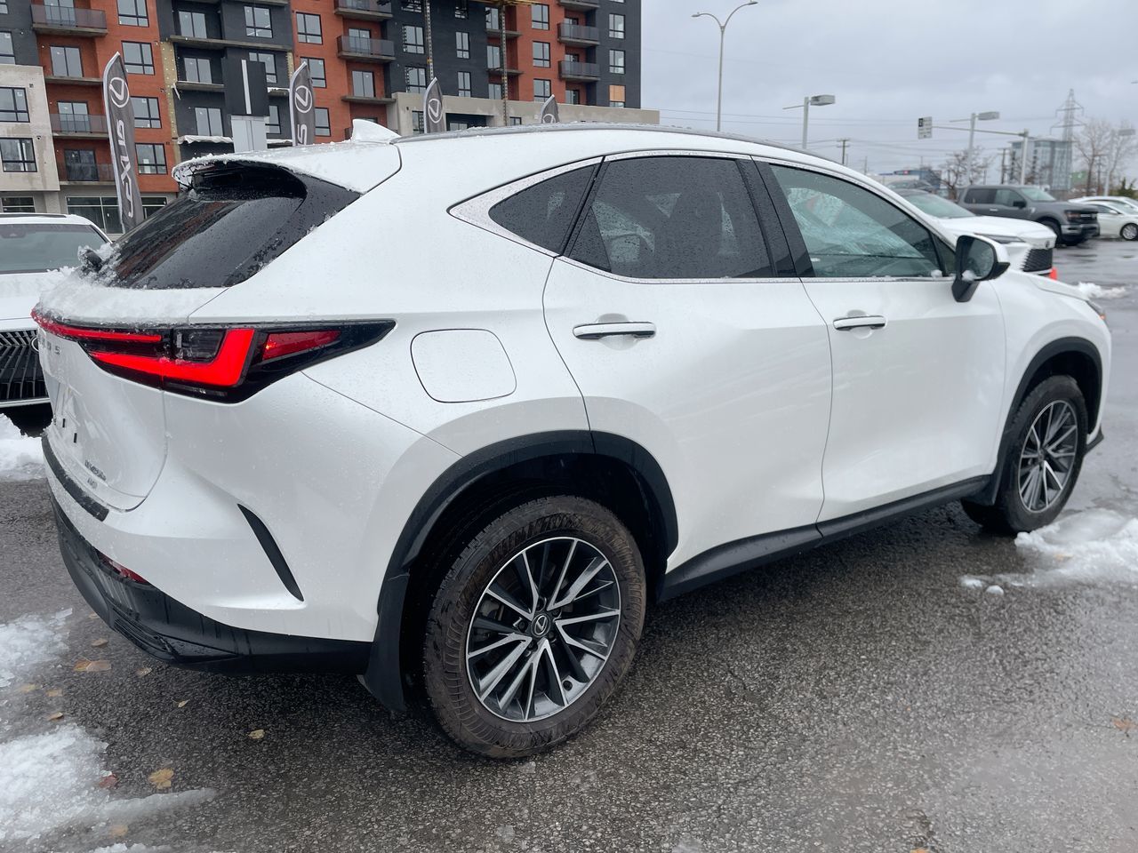 2025 Lexus NX