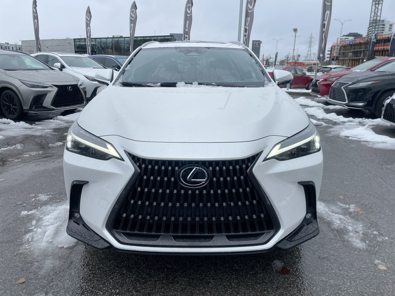 2025 Lexus NX