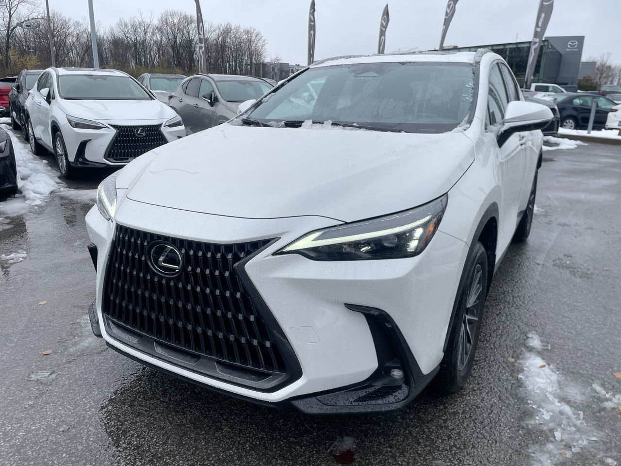 2025 Lexus NX