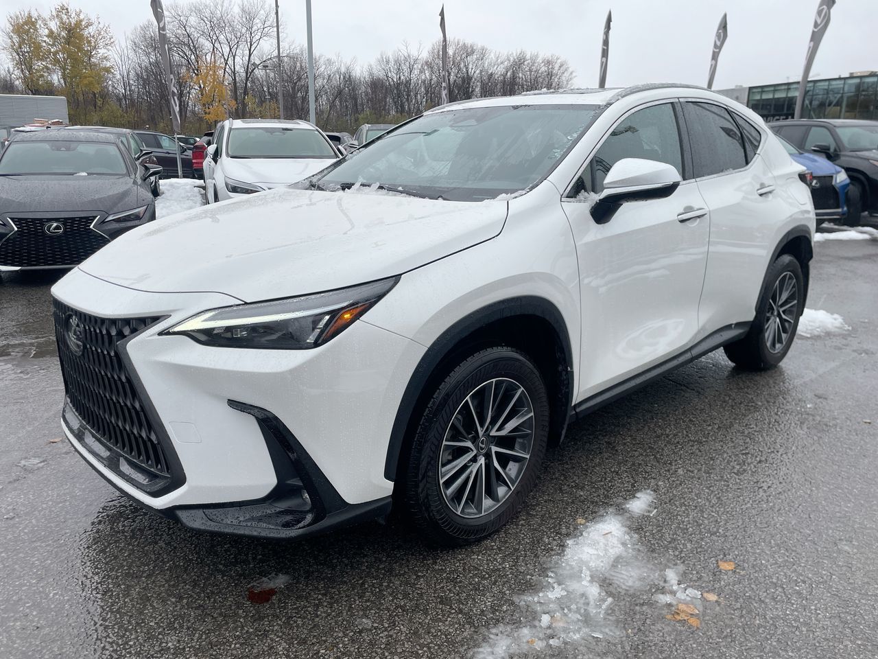 2025 Lexus NX