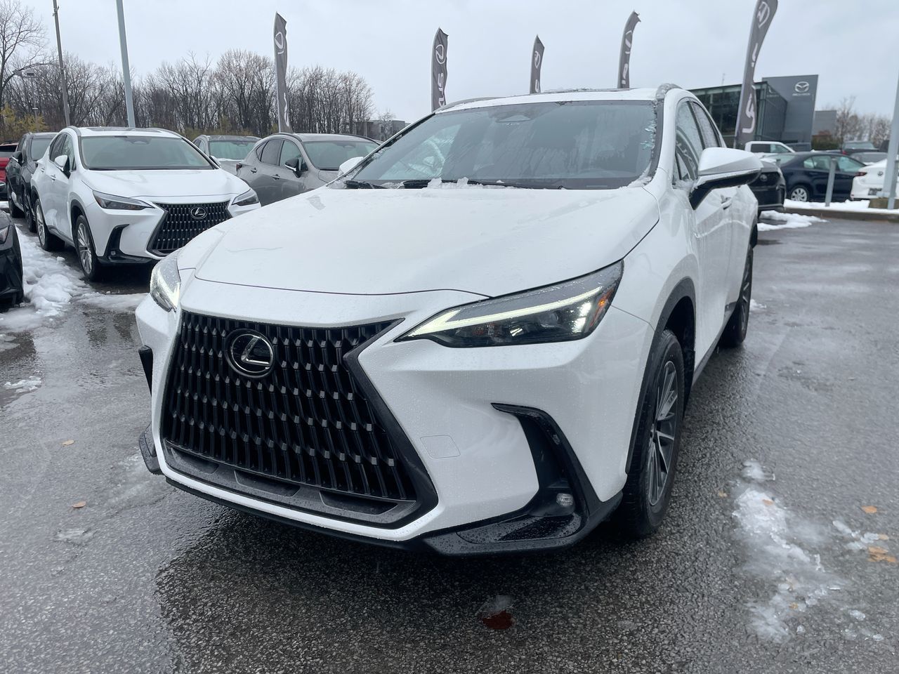 2025 Lexus NX