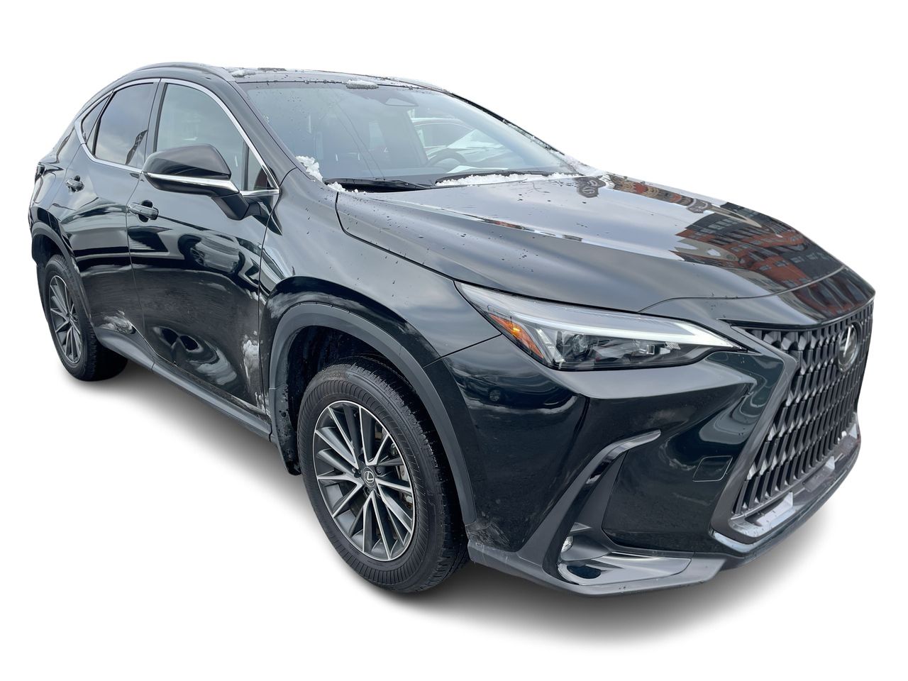 2025 Lexus NX