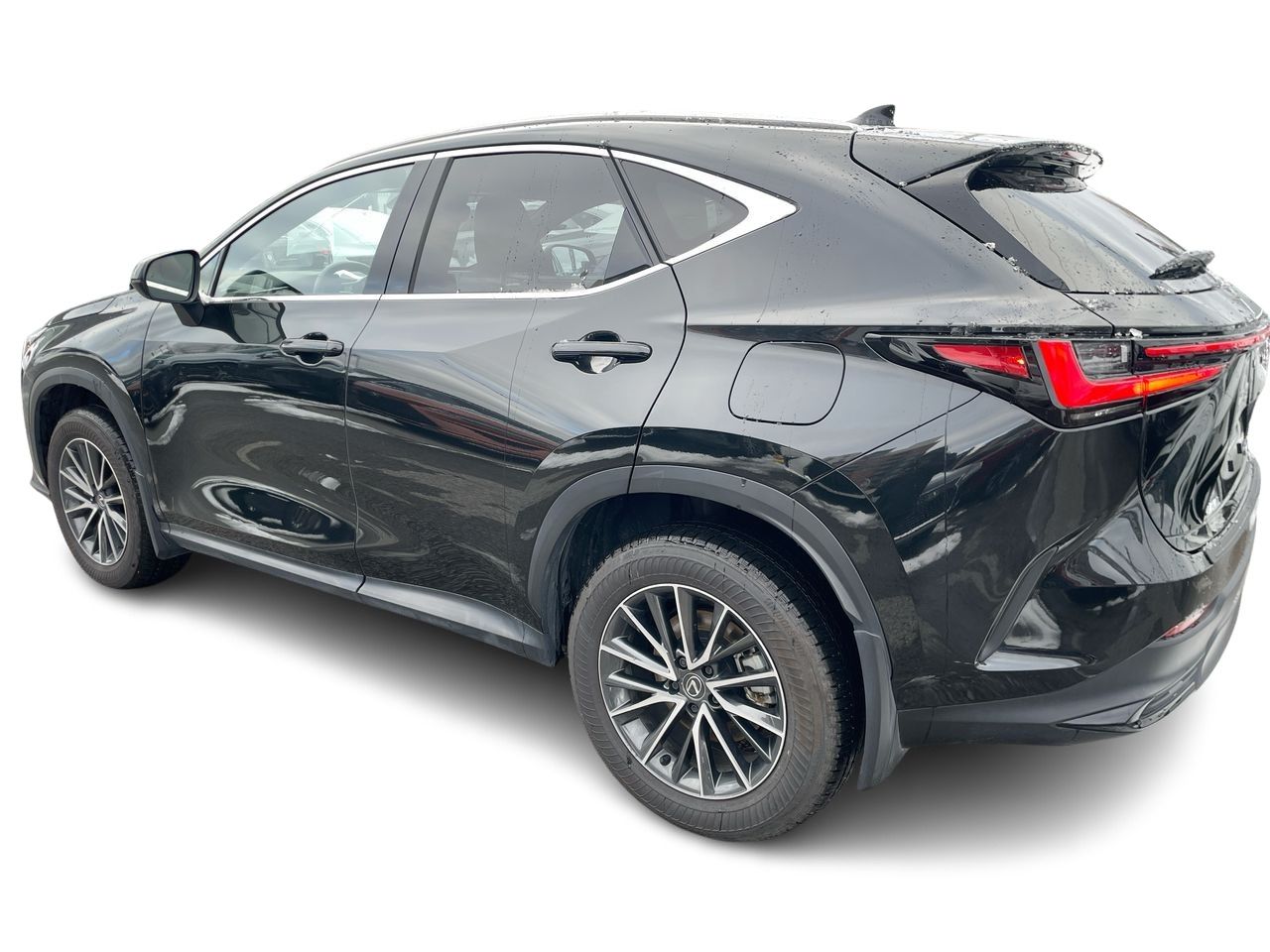 2025 Lexus NX