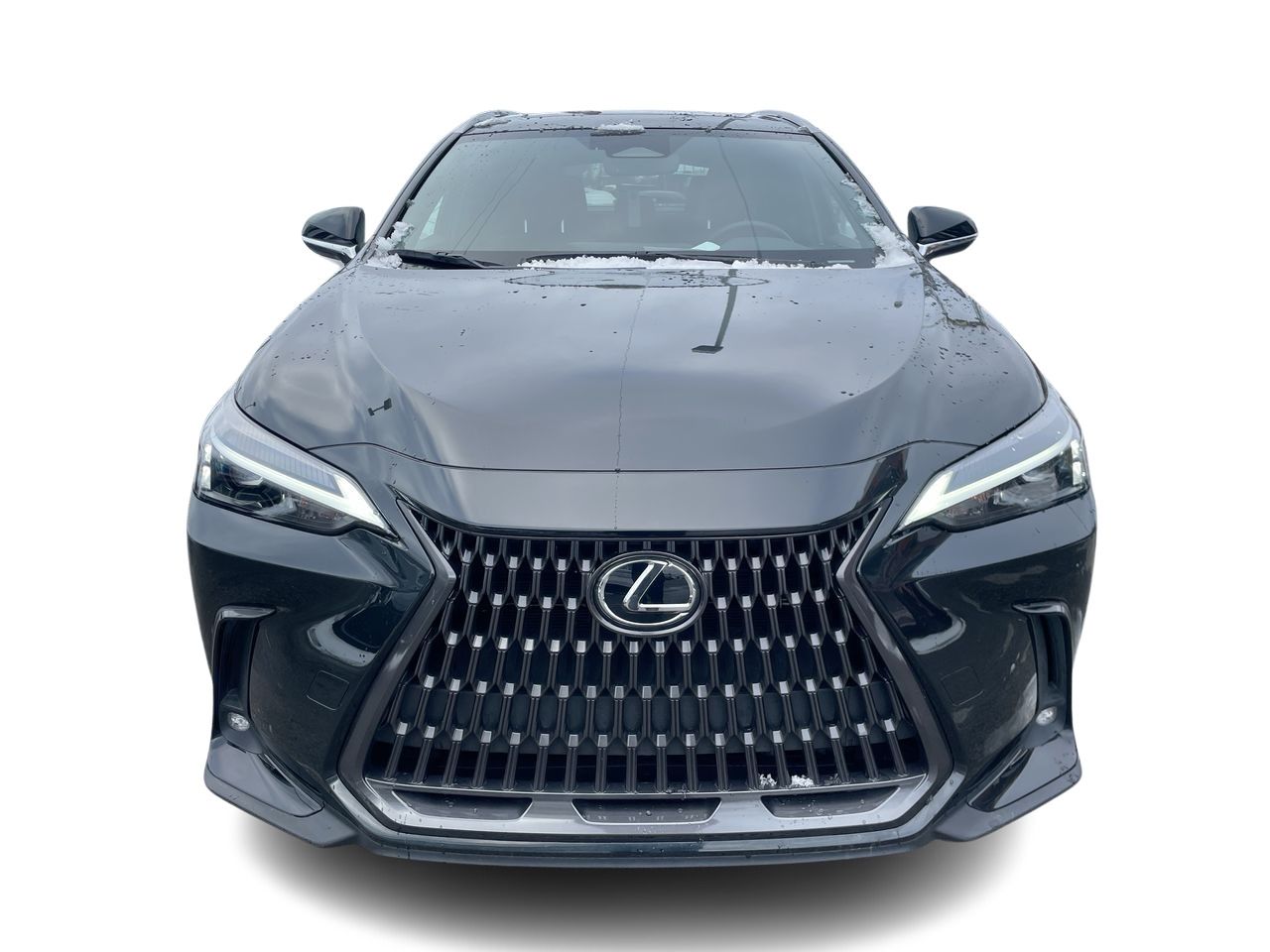 2025 Lexus NX