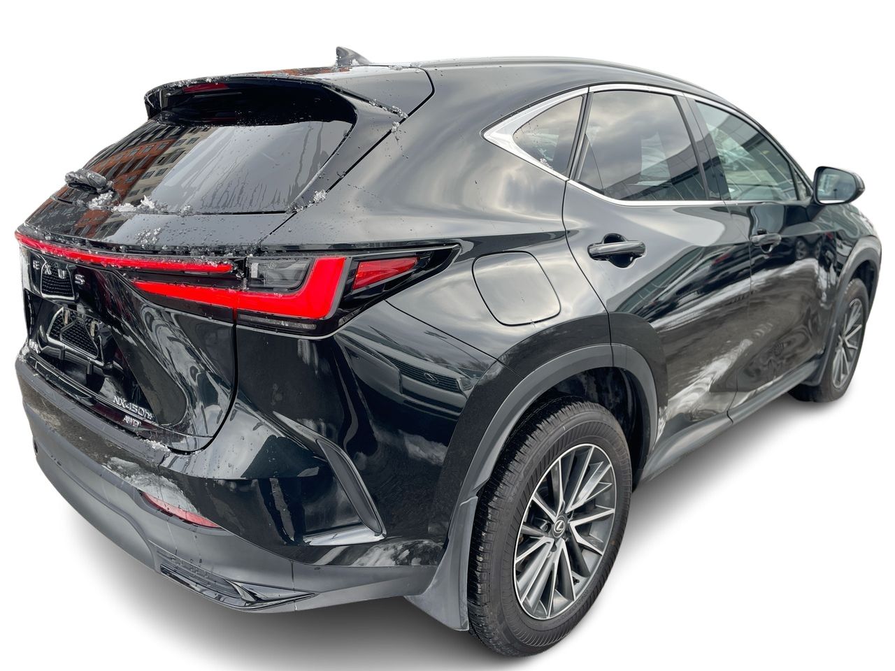 2025 Lexus NX