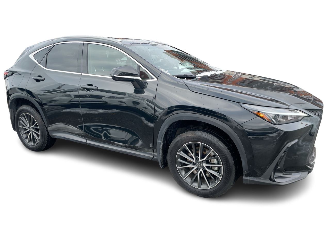 2025 Lexus NX