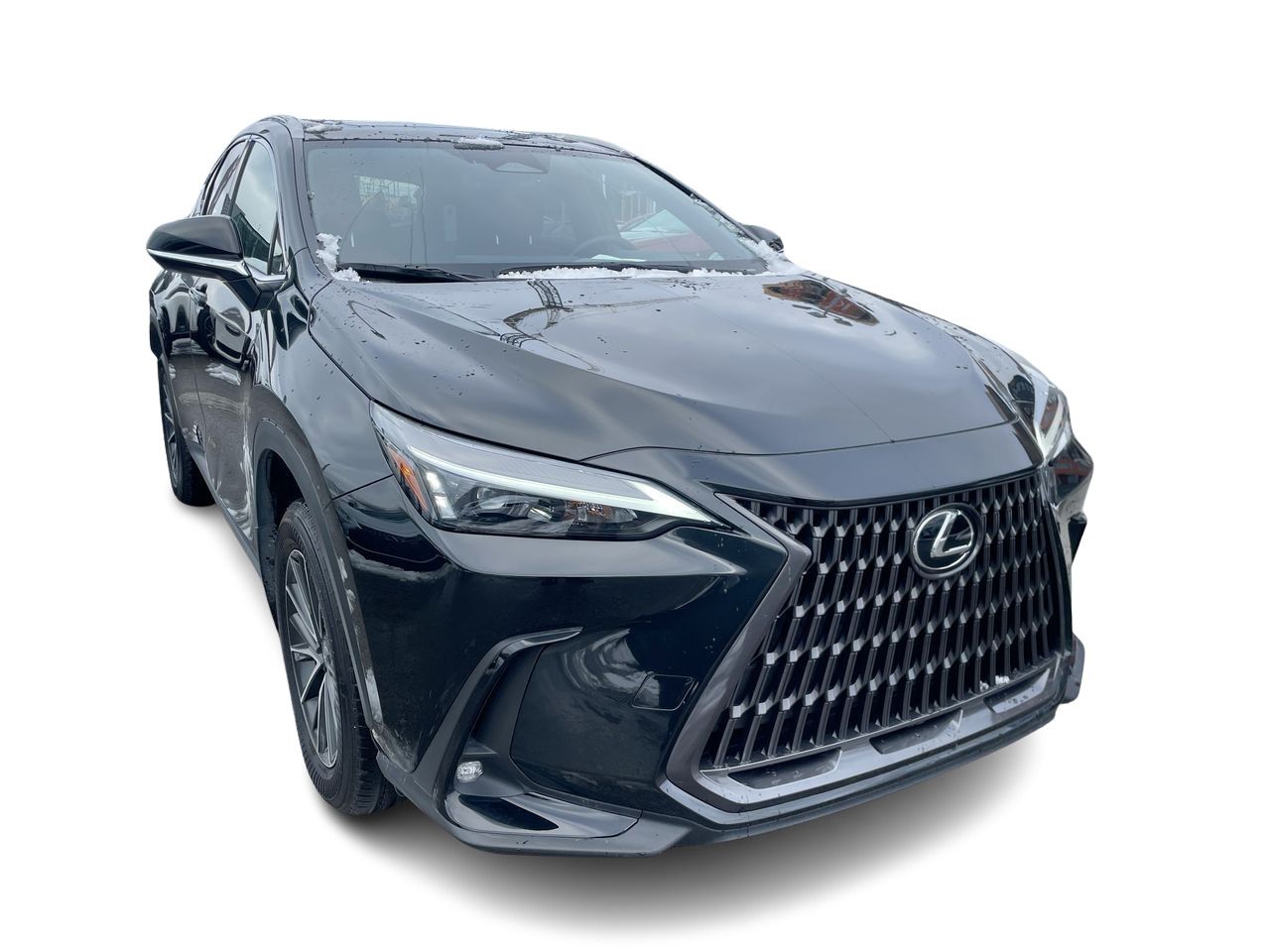 2025 Lexus NX