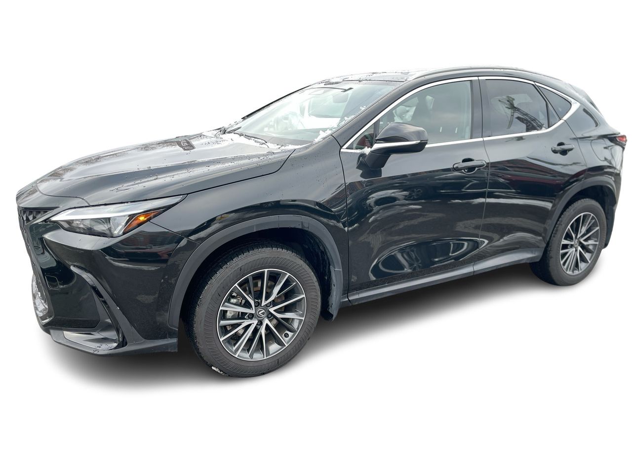 2025 Lexus NX