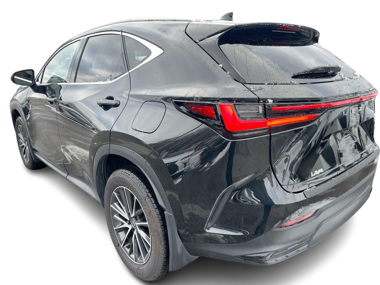 2025 Lexus NX
