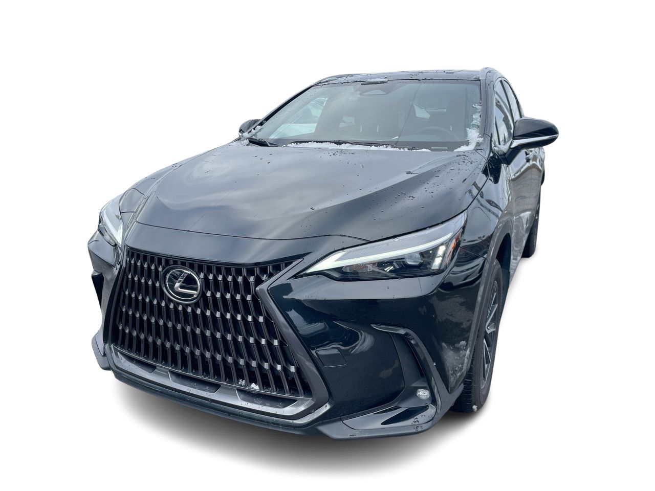 2025 Lexus NX