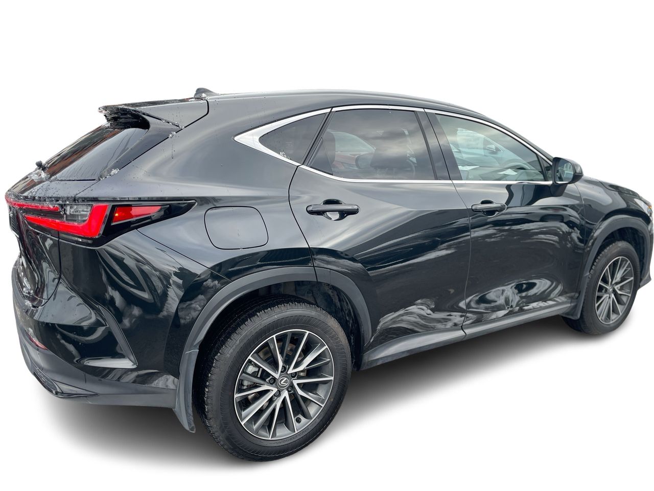 2025 Lexus NX