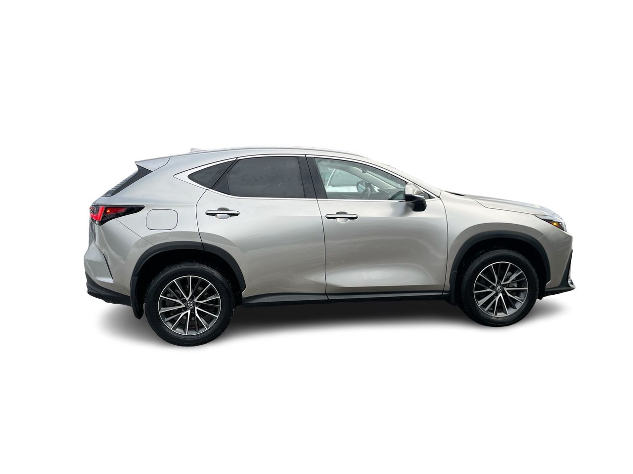 2025 Lexus NX