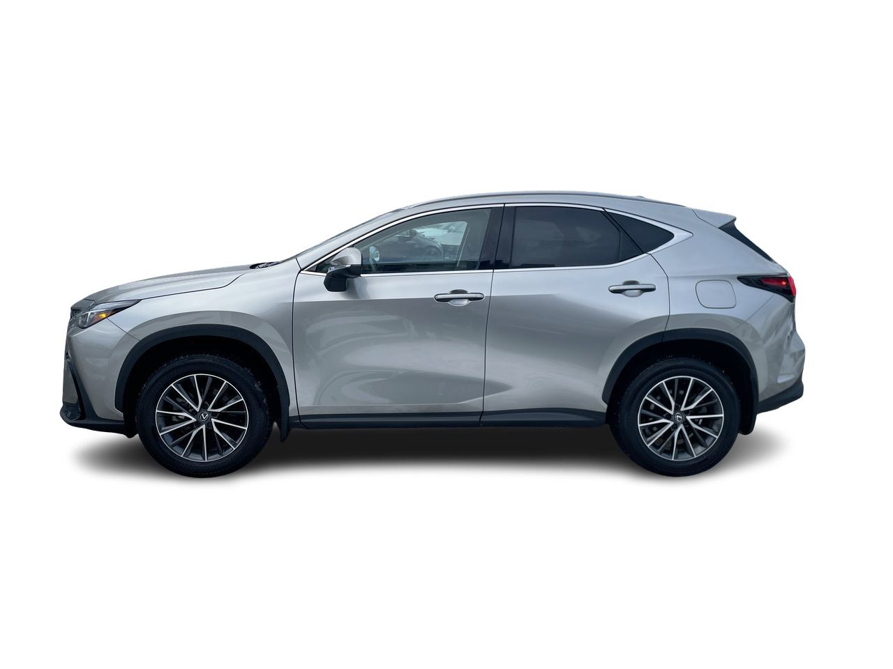 2025 Lexus NX
