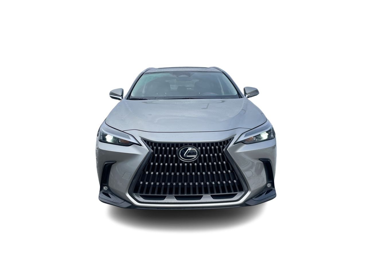 2025 Lexus NX