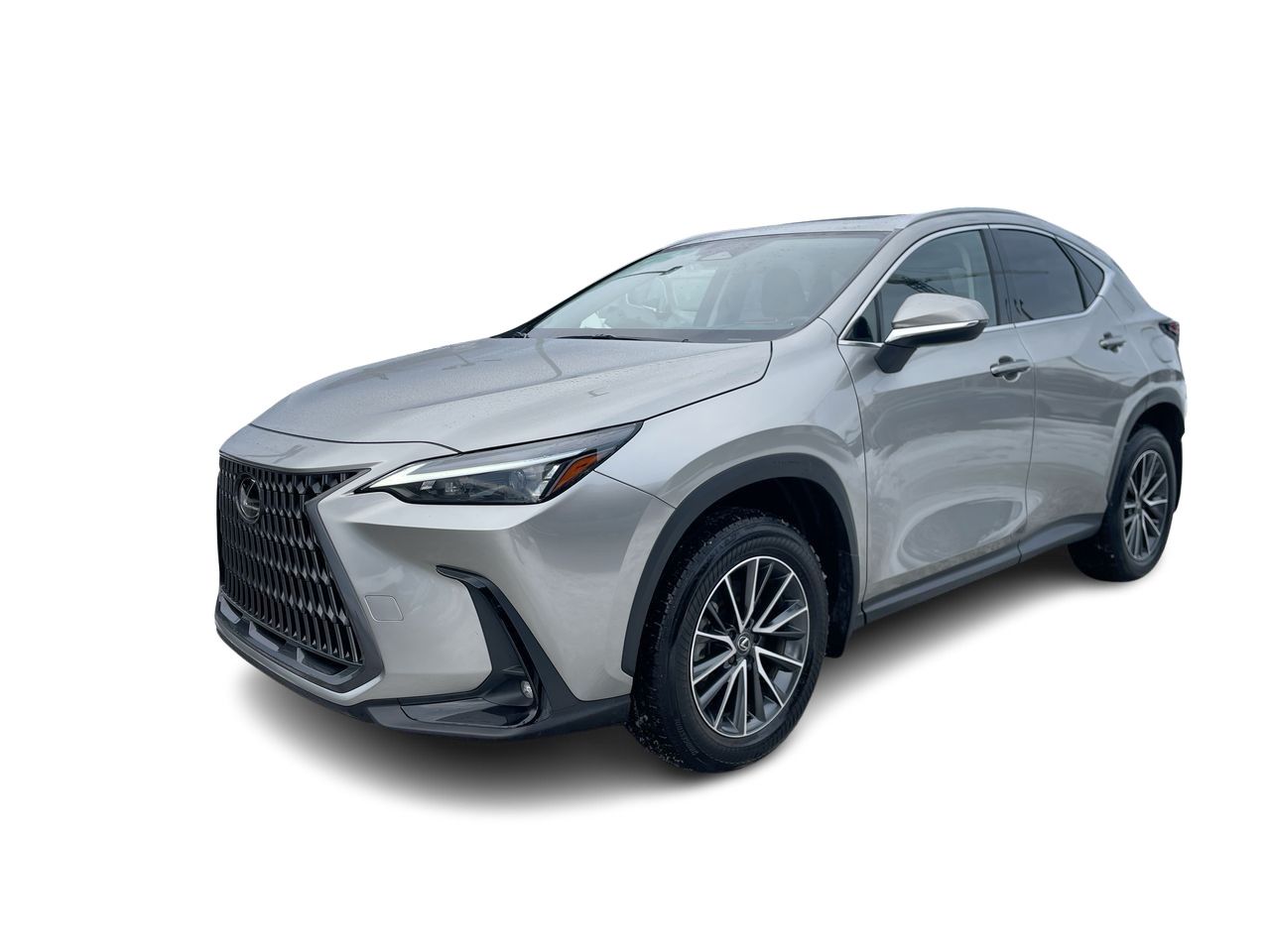 2025 Lexus NX