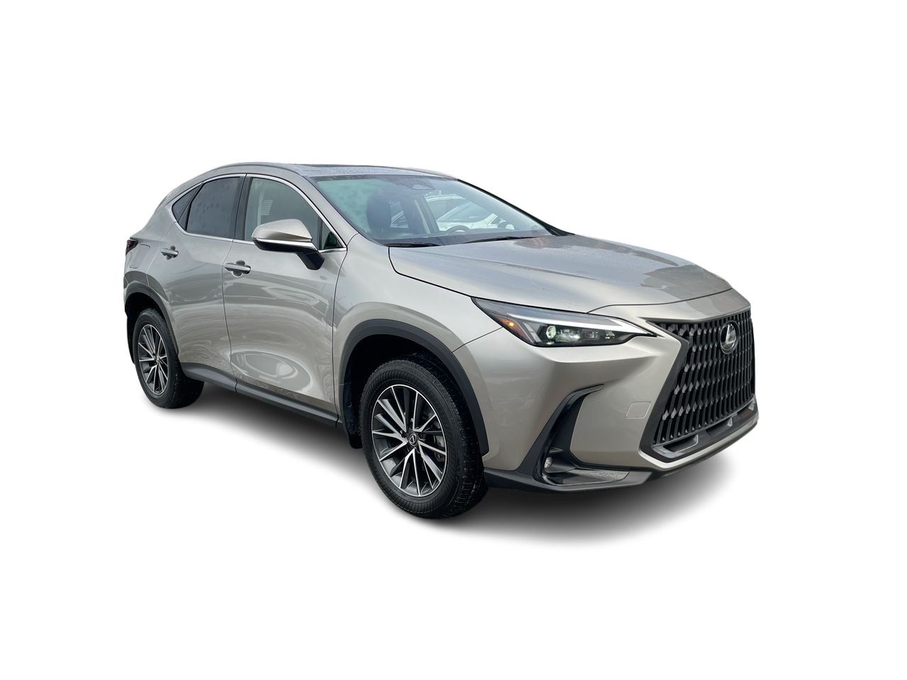 2025 Lexus NX