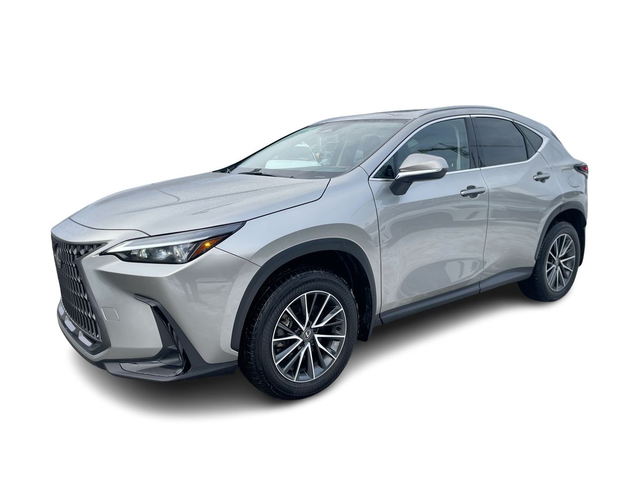 2025 Lexus NX