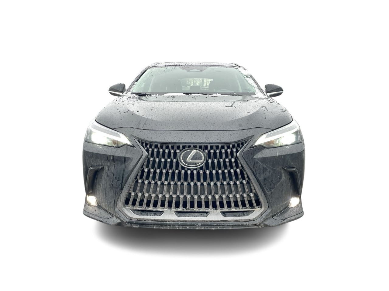 Lexus NX  2025