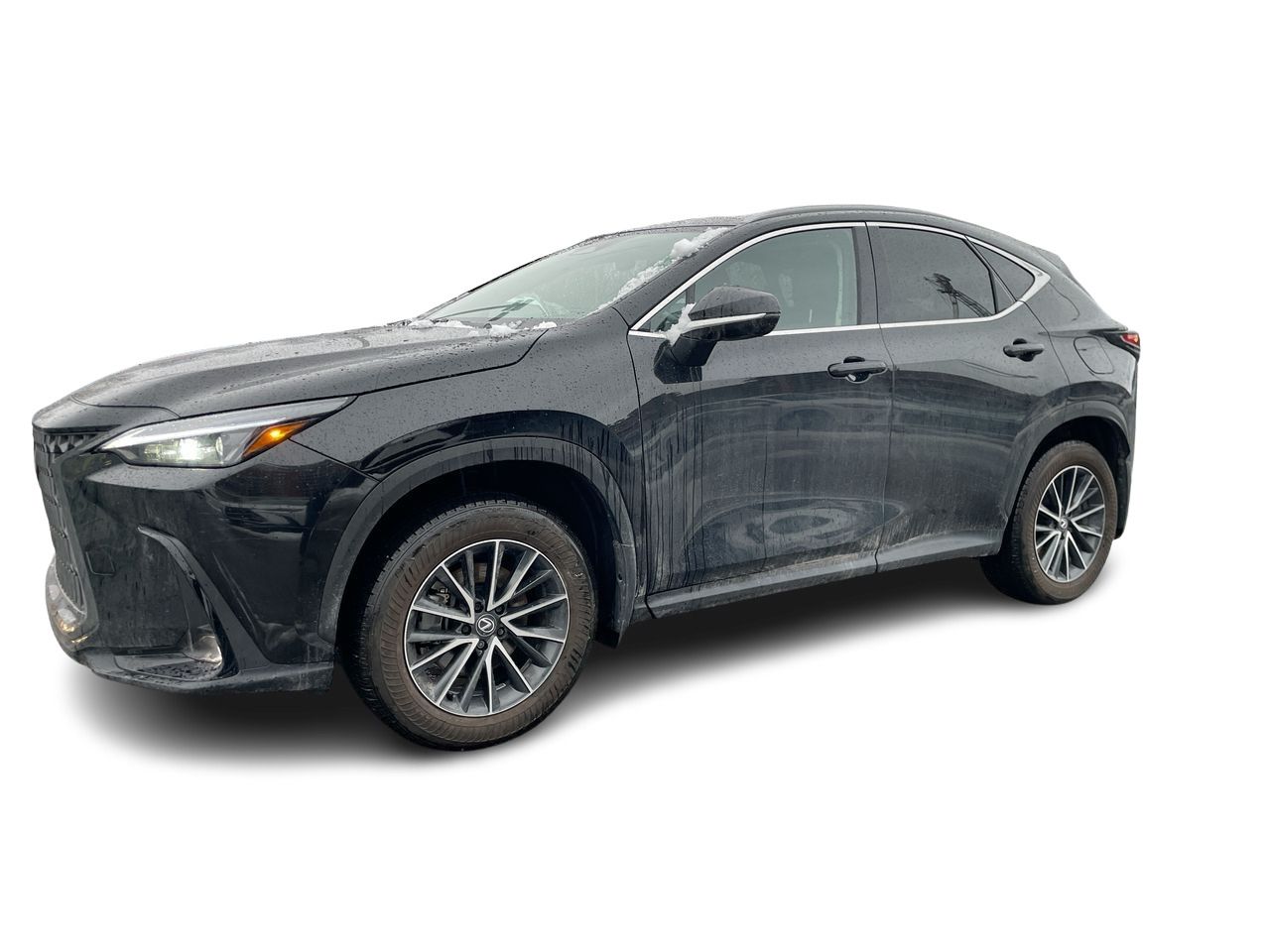 Lexus NX  2025