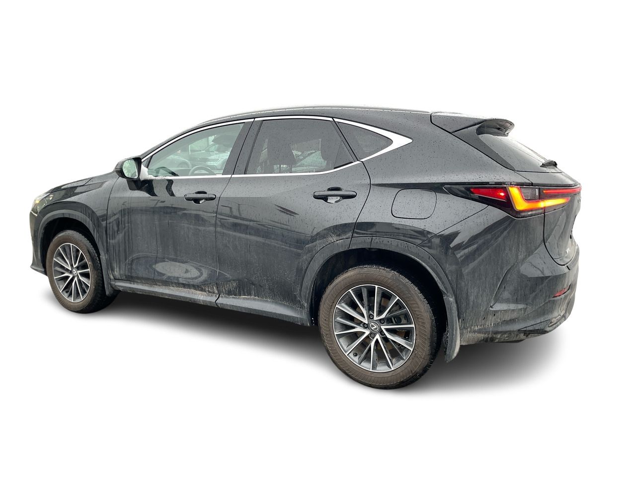 Lexus NX  2025