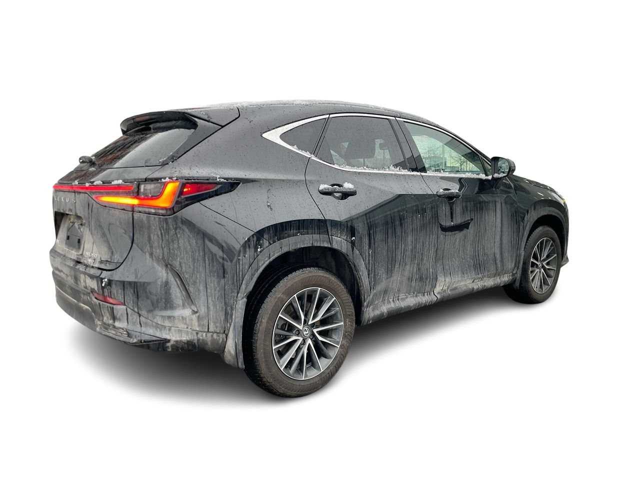 Lexus NX  2025