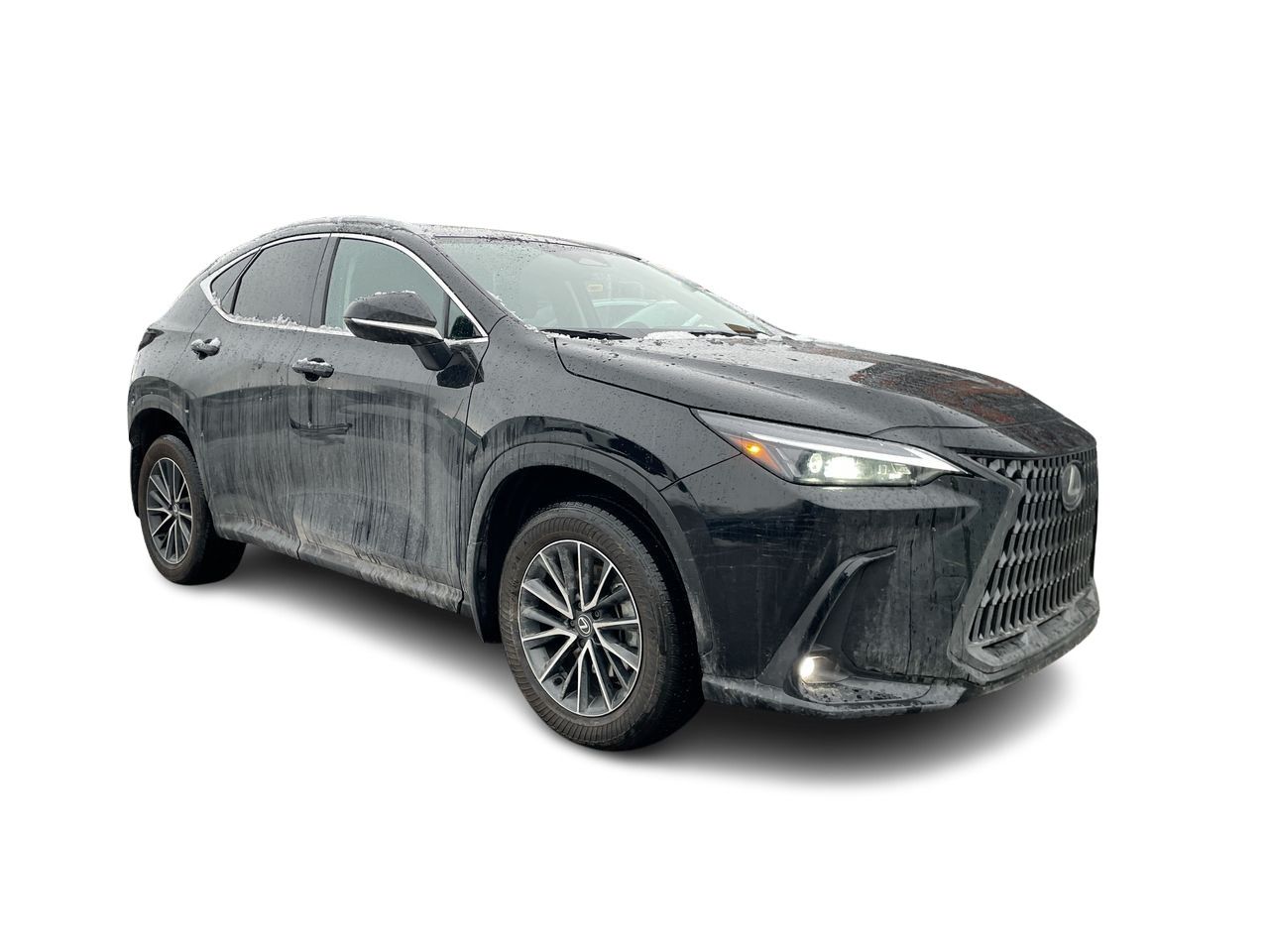 Lexus NX  2025