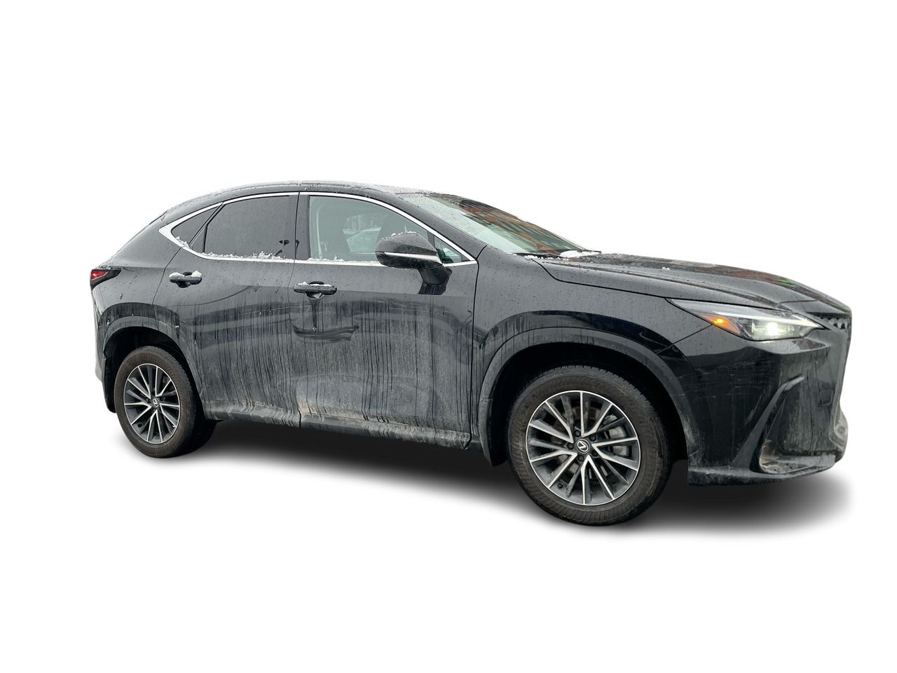 Lexus NX  2025