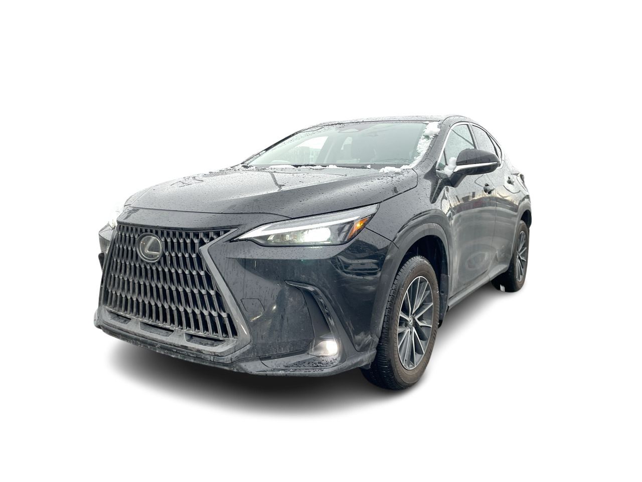 Lexus NX  2025