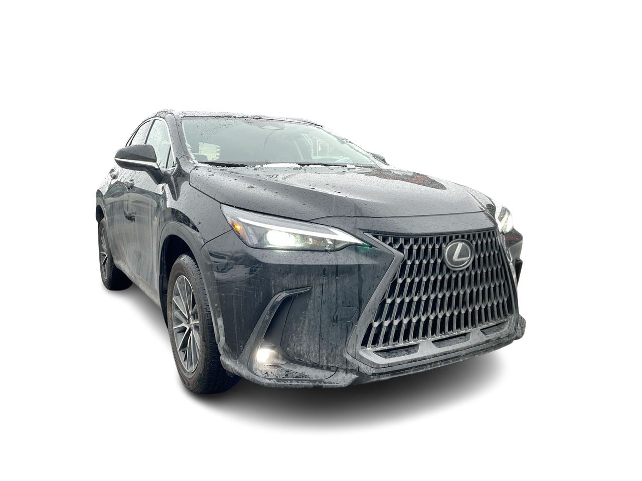 Lexus NX  2025