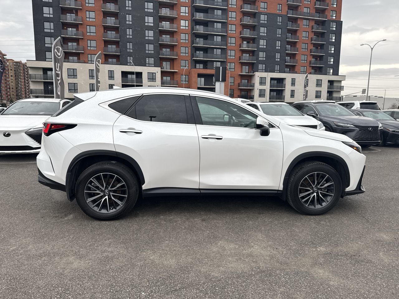Lexus NX  2025