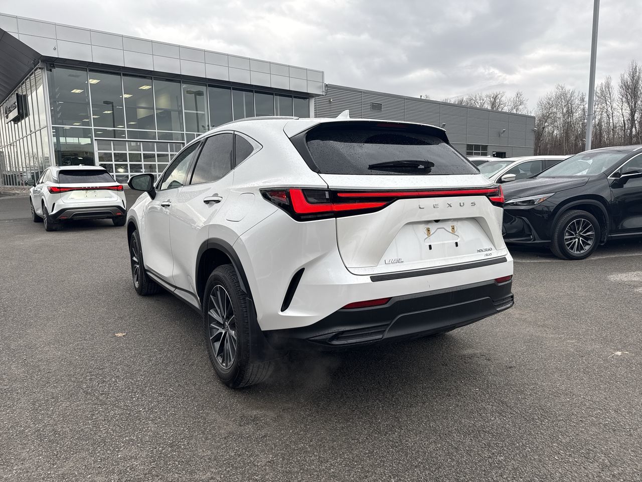 Lexus NX  2025