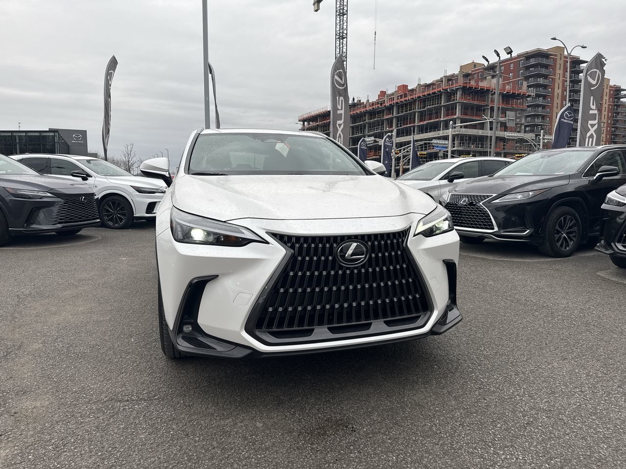 Lexus NX  2025