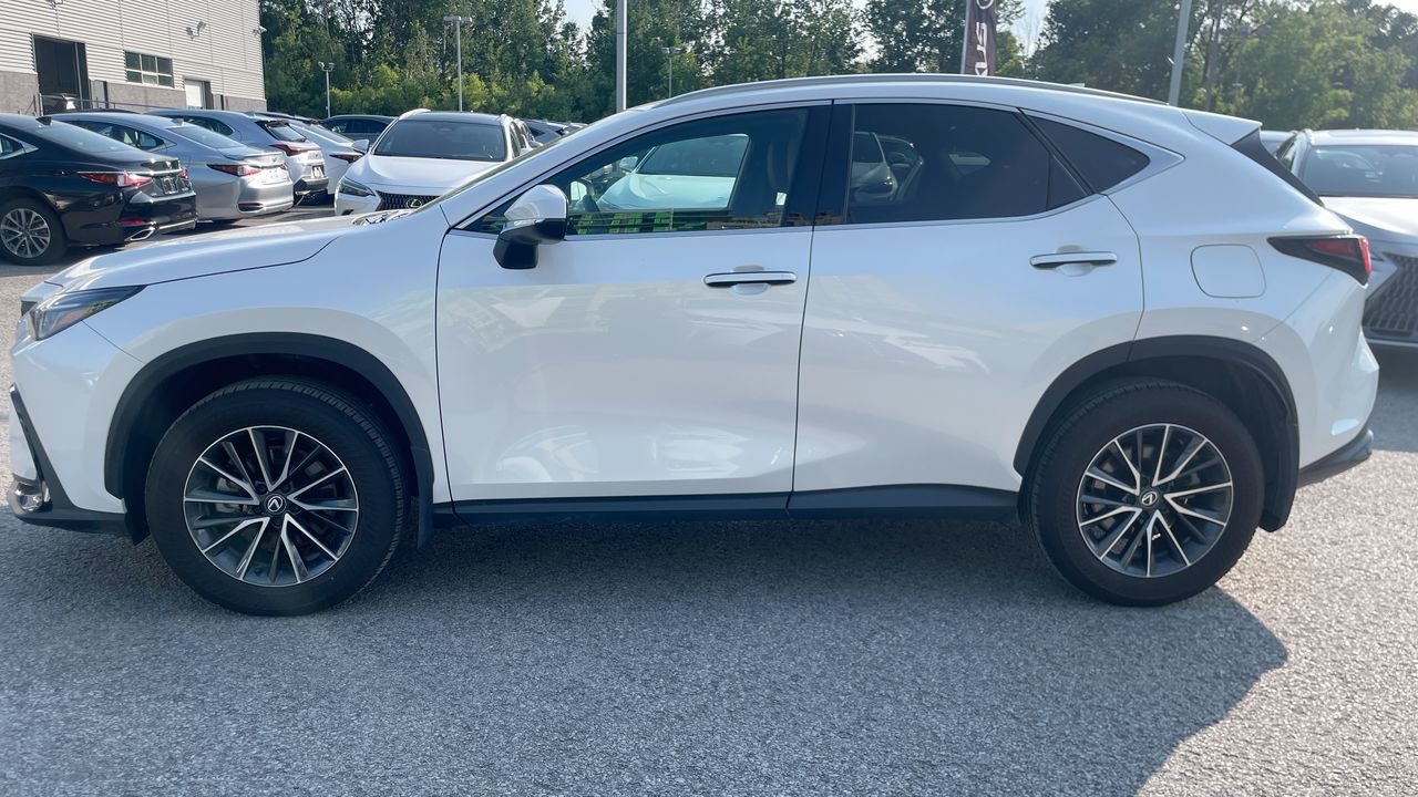 2025 Lexus NX in Laval, Quebec