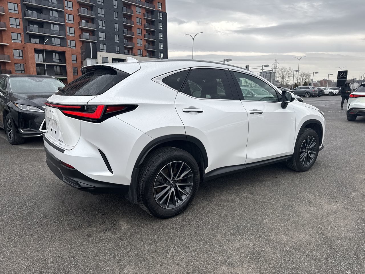 Lexus NX  2025
