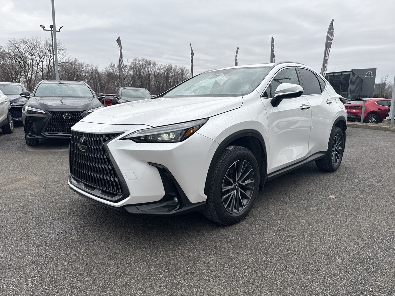 Lexus NX  2025